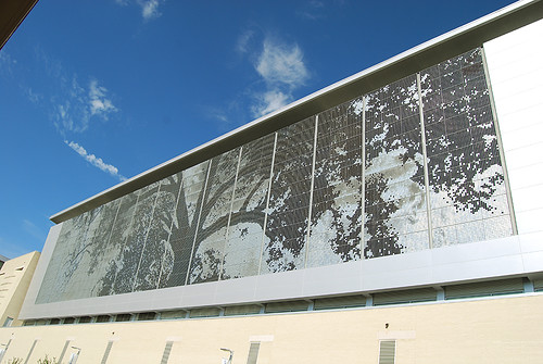 Shimmer Wall