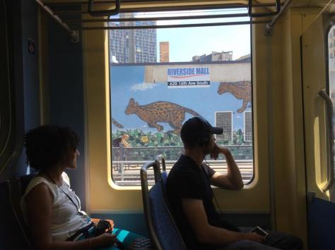 Photo by Malcolm Kenton